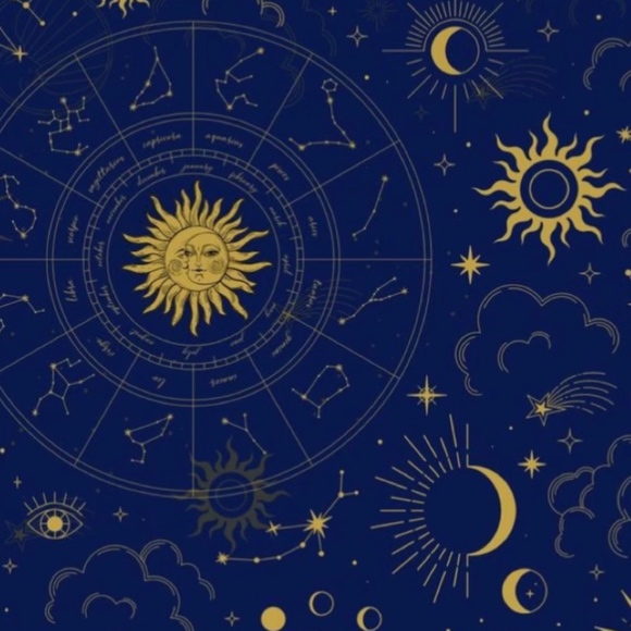 Meet your Posher, Rilee - Picture 1 of 1